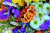Closeup of Colorful Flower Arrangement