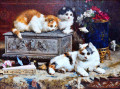 Kittens around the Jewelry Box