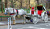 Horse-Drawn Carriage in Central Park, NYC, USA