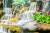 Waterfalls and Flowers