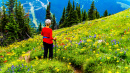 Alpine Meadows on Tod Mountain, BC, Canada
