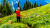 Alpine Meadows on Tod Mountain, BC, Canada