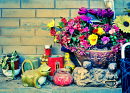 Still Life of Random Chinese Objects in Beijing