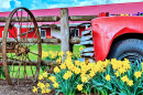 Spring in Portland, Oregon, USA