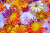Pumpkin and Flower Arrangement