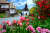 Hollókő Village in Spring, Hungary