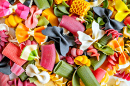 Assorted Italian Pasta Close-Up