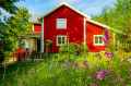 Summer Morning...