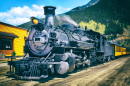Steam Powered Train