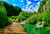Wooden Bridge on the River Bank