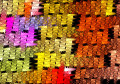 Computer-Generated Fractal Pattern