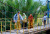 Crossing a Bridge in  Maros, Indonesia