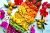 Rainbow Snack Board with Fresh Fruits and Veggies