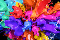 Colorful Paint Splash
