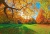 Autumn Forest Path