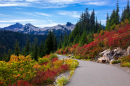 Mount Rainier National Park, Washington State, USA