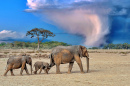 Stormy Skies over Kenya National Park, Africa