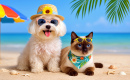 A Maltese Dog and a Siamese Cat on the Beach