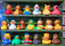 Rubber Ducks in a Shop, Brighton, East Sussex, UK