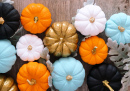 Colorful Pumpkins and Silver Leaves
