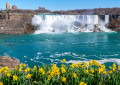 View of the American Falls and Bridal Veil Falls