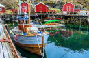 The Fishing Village of Nusfjord, Lofoten Islands