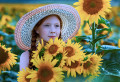 Beautiful Red-Haired Girl in a Field of Sunflowers