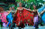 Peacock Dance in Jakarta, Indonesia