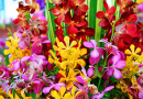 A Bouquet of Orchids in Interior Design