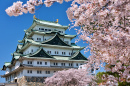 Nagoya Castle in Spring, Japan