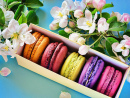 Macaroons in a Gift Box