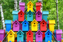 Colorful Birdhouses in the Park
