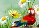 Colorful Macaw among Beautiful Flowers