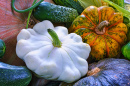 Cucumber, Patisson and Various Pumpkins