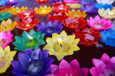 Burning Colorful Lotus Candles