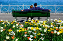 Couple Resting in Front of Lake Geneva