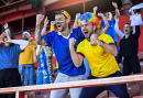 Cheering Soccer Fans