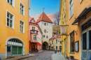 Old Town of Tallinn, Estonia