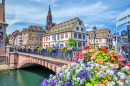 Petite France, Strasbourg, Alsace, France
