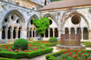 Gothic Patio of Fontfroide Abbey, France
