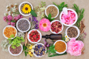 Assortment of Medicinal Herbs and Flowers