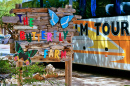 The Butterfly Farm, Noord, Aruba