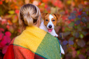Girl and Jack Russell Terrier in a Park
