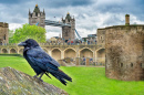 Tower of London