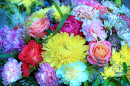 Bouquet of Roses, Carnations and Chrysanthemums