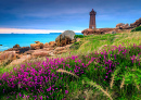 Mean Ruz Lighthouse, Bretagne, France