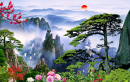 Amazing Landscape