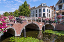 Bridge over a Canal and Houses in Leiden