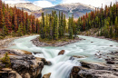 Sunwapta Falls in Jasper NP, Alberta, Canada