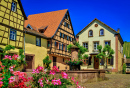 Half-Timbered Houses in Riquewihr, France